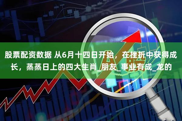 股票配资数据 从6月十四日开始，在挫折中获得成长，蒸蒸日上的四大生肖_朋友_事业有成_龙的
