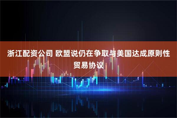 浙江配资公司 欧盟说仍在争取与美国达成原则性贸易协议