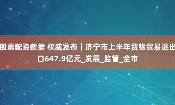 股票配资数据 权威发布｜济宁市上半年货物贸易进出口647.9亿元_发展_监管_全市